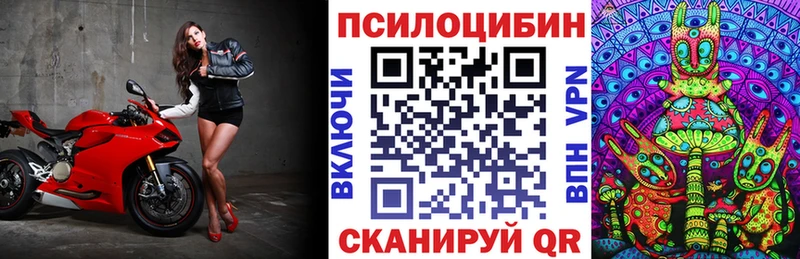 Псилоцибиновые грибы мицелий  Купить где  Красный Сулин 