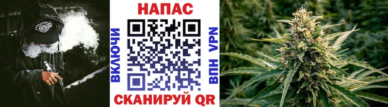 Купить  Красный Сулин  Бошки марихуана сатива 